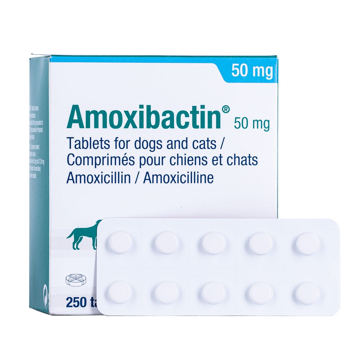 Ordre amoxicillin