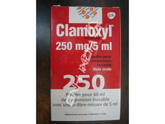 amoxil 250mg