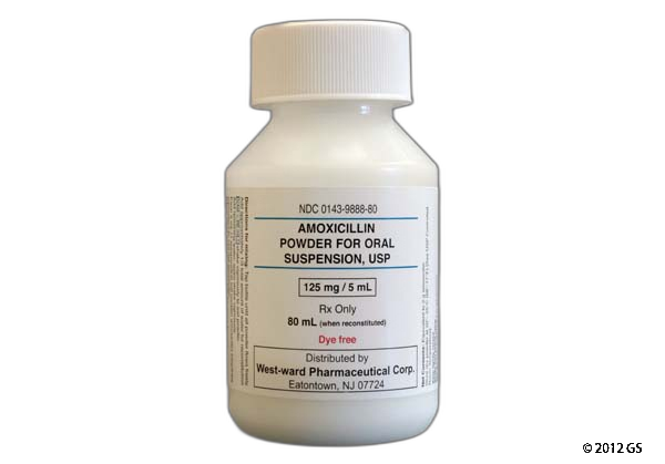 Amoxicillin prix