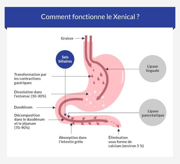 Acheter du xenical générique