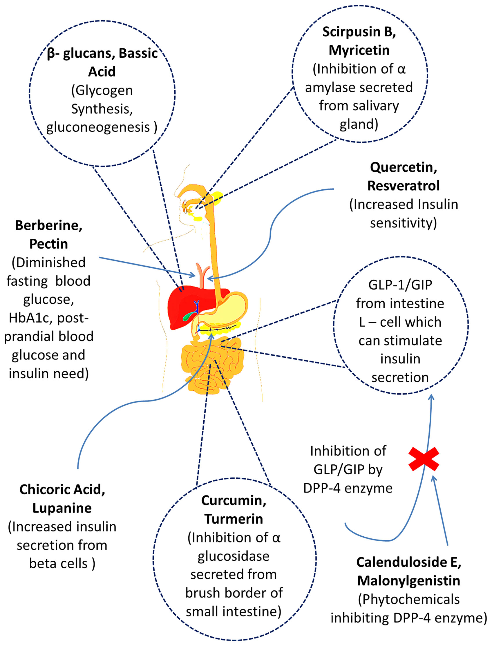 Metformin 500mg online