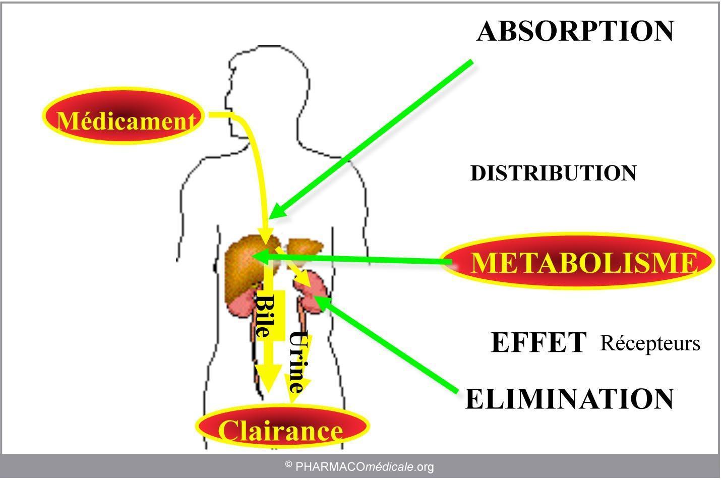 Ordre Fluconazole