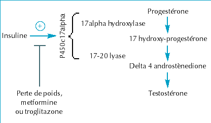 Metformine comment acheter