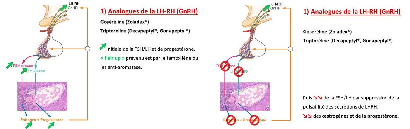 où acheter du tamoxifen