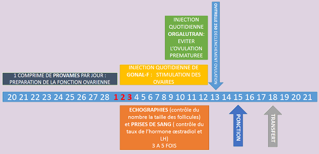 clomid apres pilule