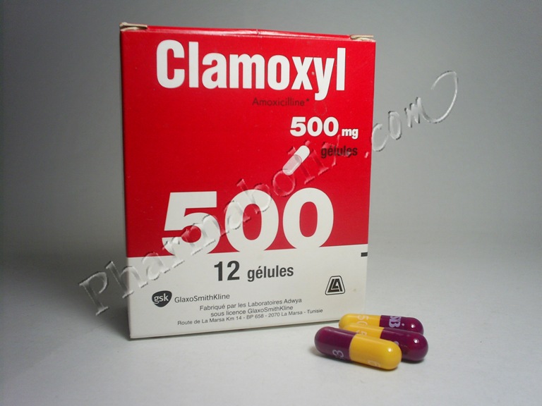 amoxicilline 1 g prix