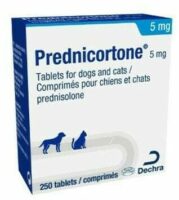 Comment acheter du prednisolone