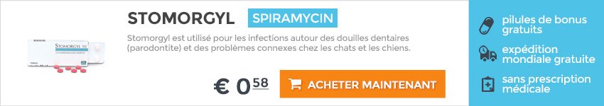 Amoxicilline pour chat sans ordonnance