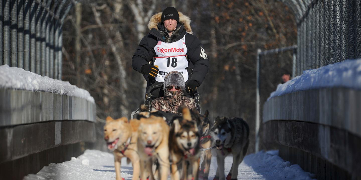 Prix du tramadol pour chien