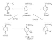 Tramadol paracetamol generique de