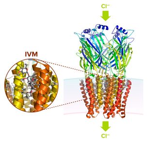 Ivermectine france vidal