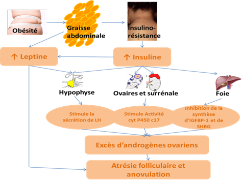 Prix pour glucophage