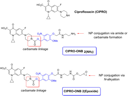 Ciprofloxacin France