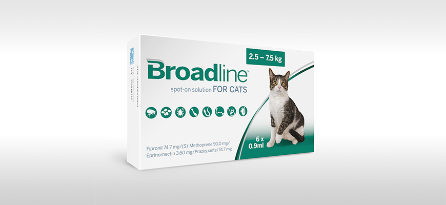 Acheter amoxicilline pour chat