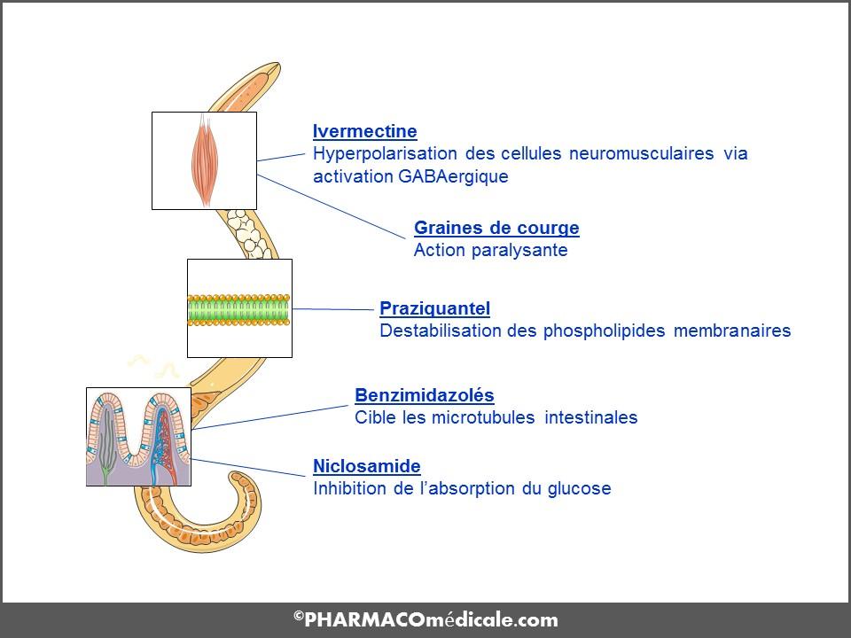 mebendazole prix