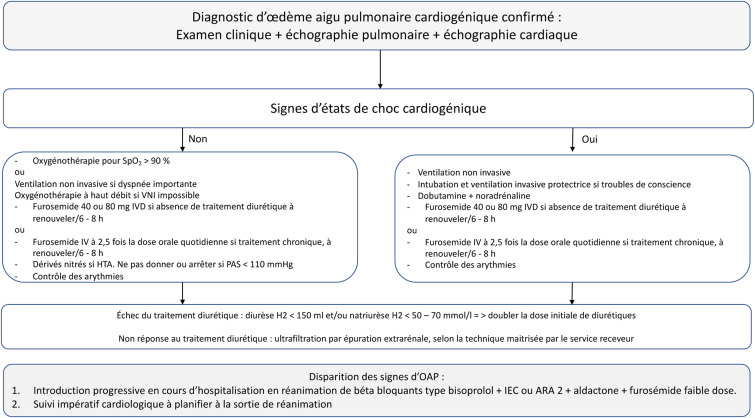 Furosemide 40 Mg Prix