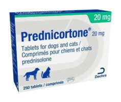 prednisolone 20mg le soir