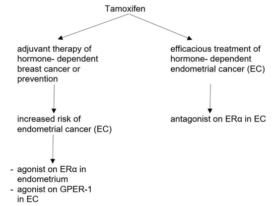 tamoxifen france