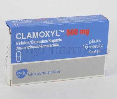 prix amoxicilline 500