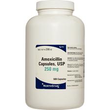 Azithromycin 250 mg ndc