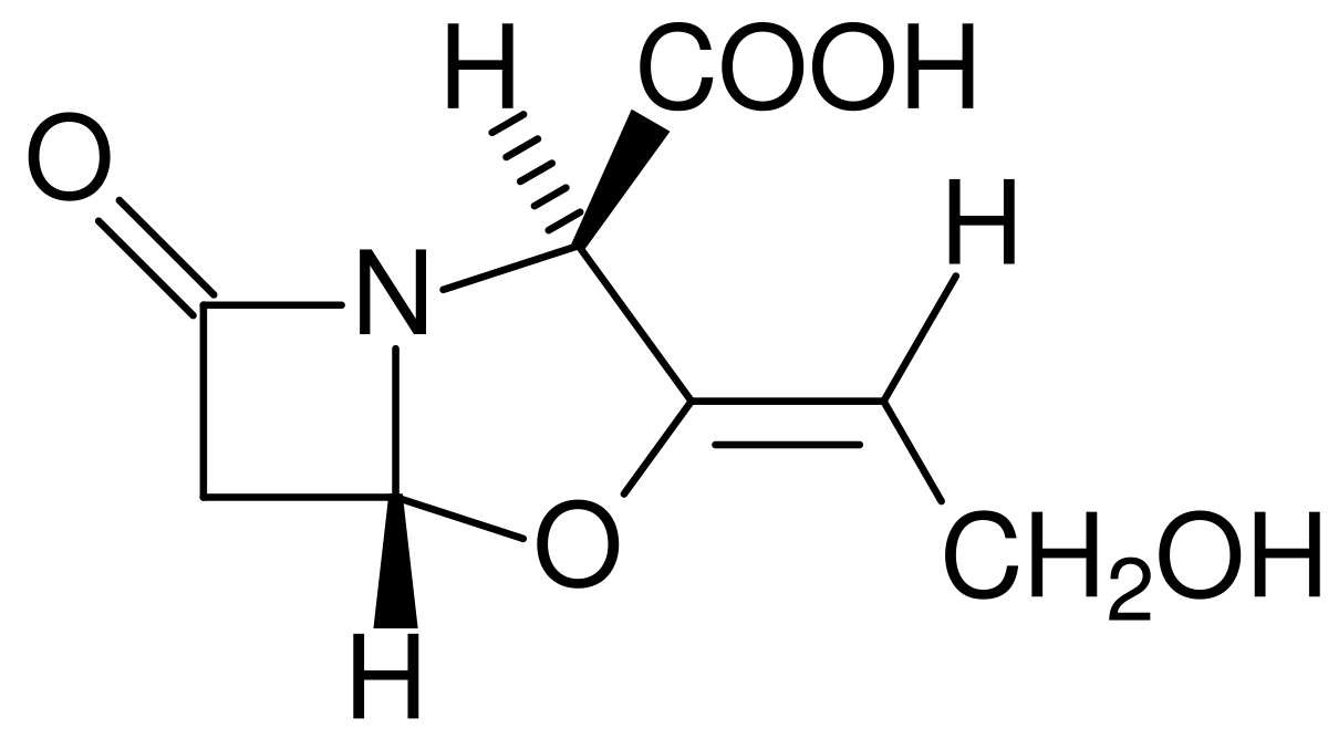 Amoxicilline clavulanique generique