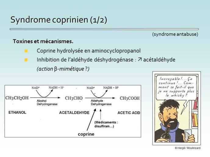 Antabuse en ligne