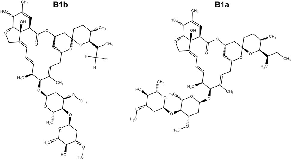 stromectol 3 mg cpr 20