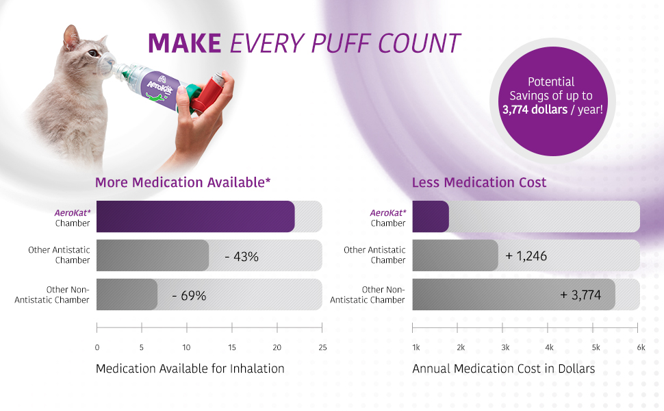 Salbutamol Spray Prix