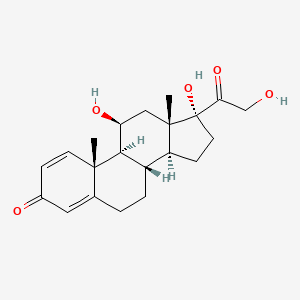 Prednisolone Online