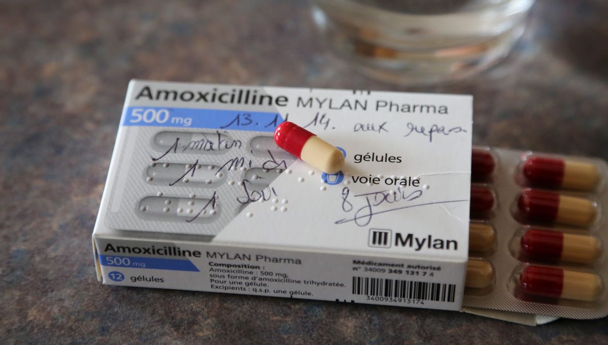 prix amoxicilline 500 mg