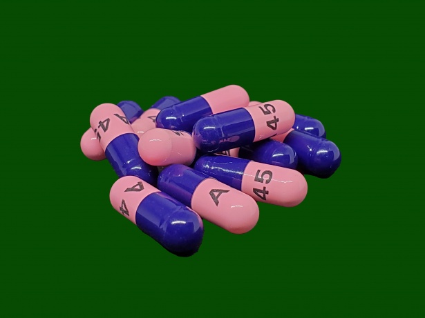 Amoxicillin pilule