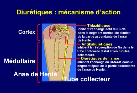 Générique du glucophage