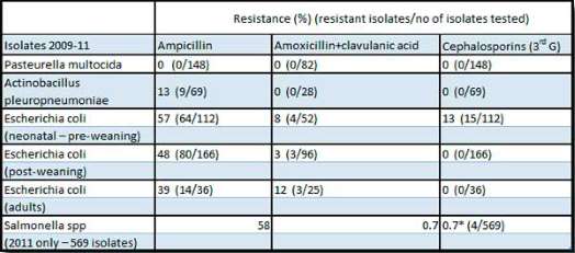 ou acheter amoxicilline