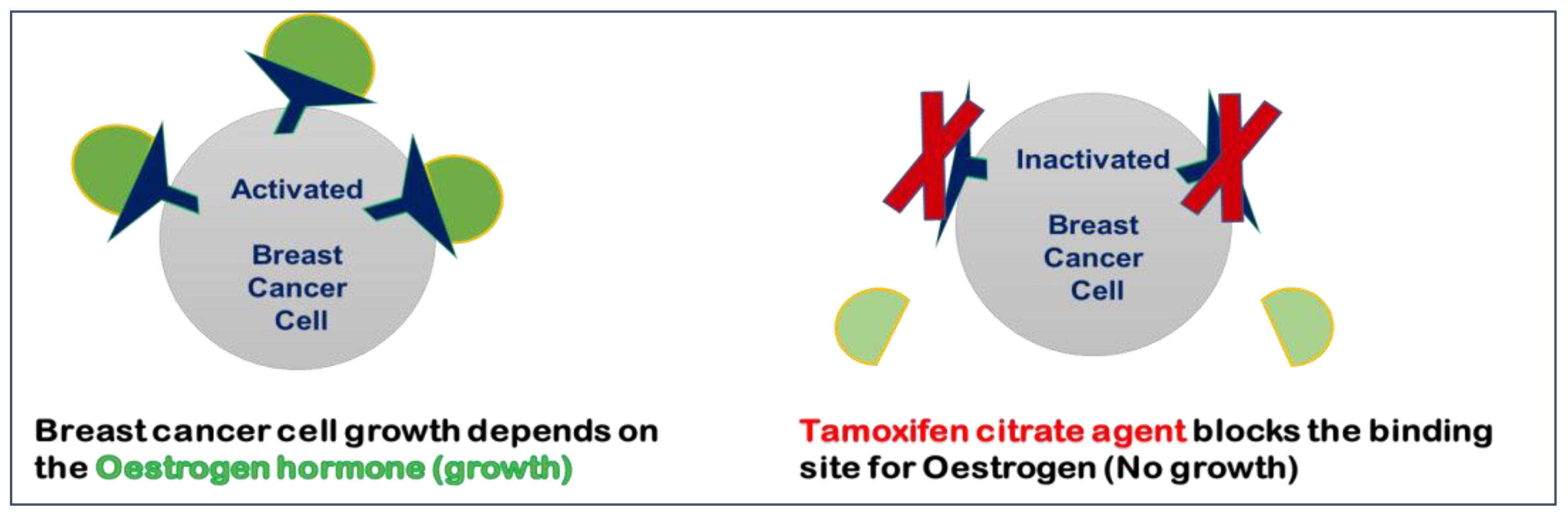 Tamoxifen france