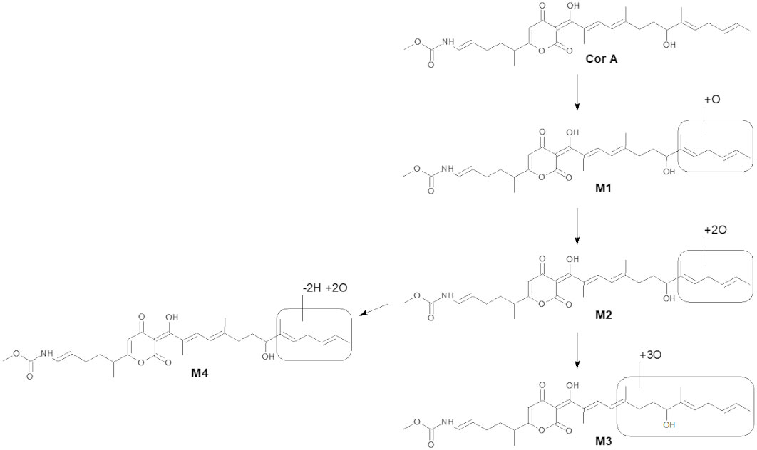 Propranolol 80 Mg Lp