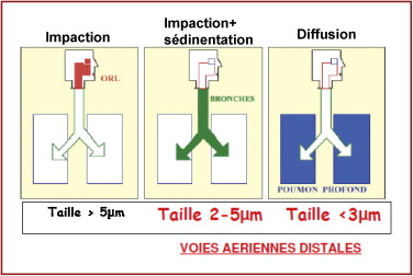 salbutamol aerosol generique