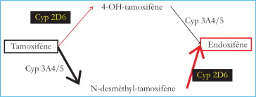 Prix pour tamoxifène