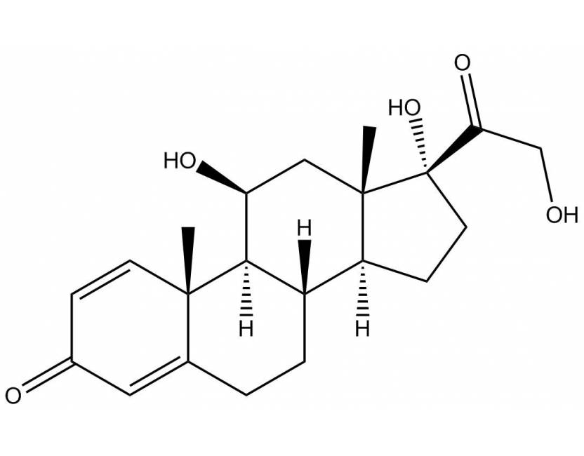 prednisolone 5mg france