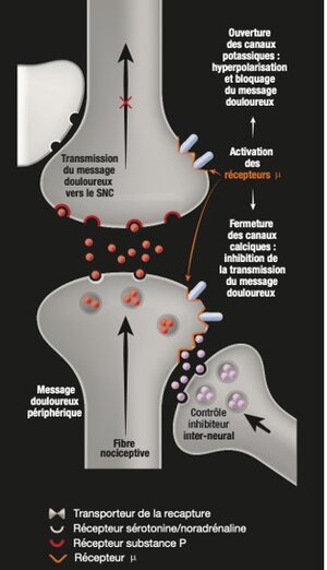 Tramadol Injectable Prix