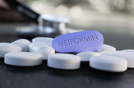 Metformine Prix