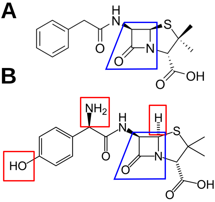 Amoxicilline générique de clamoxyl