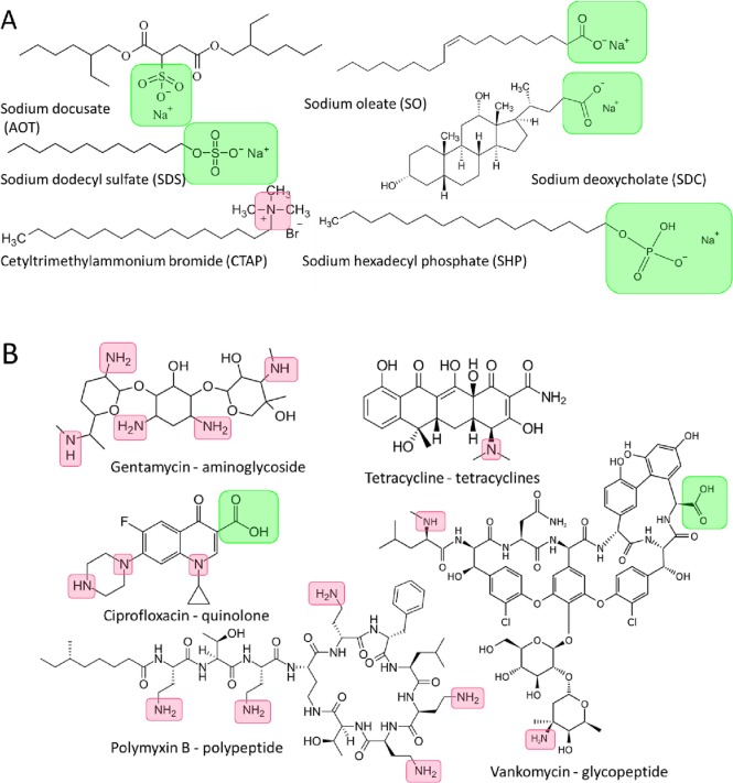 Ciprofloxacin pbs online