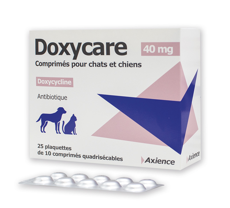 Doxycycline Le Prix