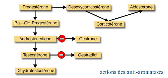 acheter tamoxifène