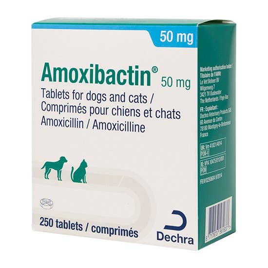 Amoxicillin france