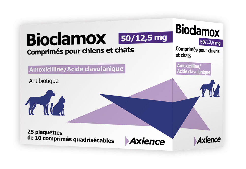 Amoxicillin pharmacie online