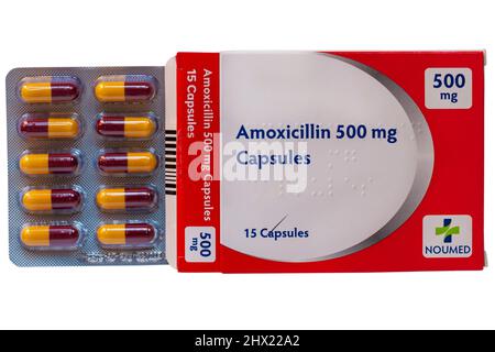 Amoxicillin Pilules