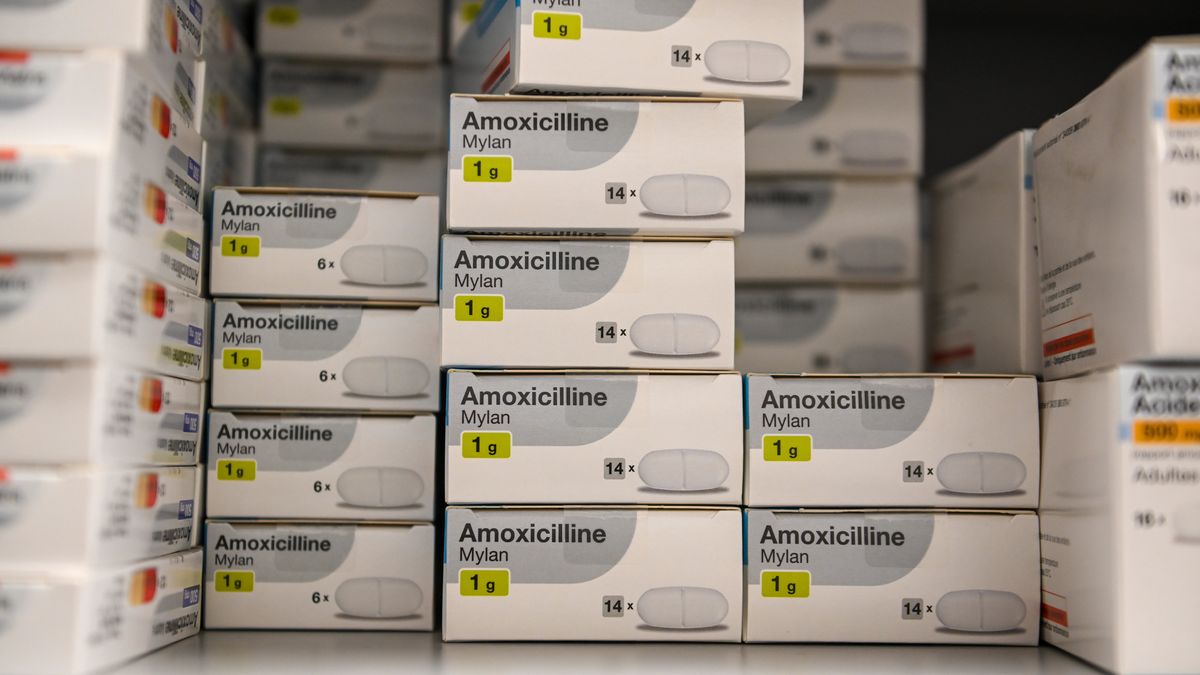 Amoxicilline le prix