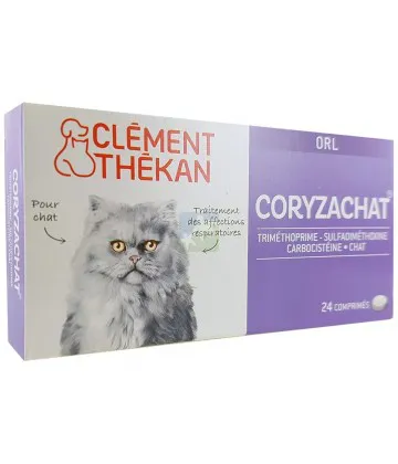 Amoxicilline pour chat sans ordonnance