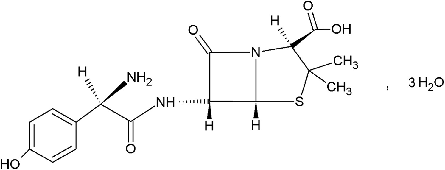 amoxicilline zydus france 1g